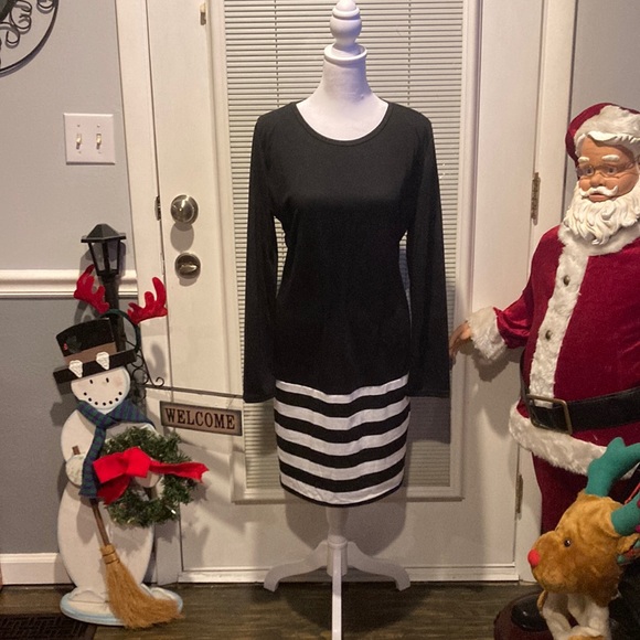 NWOT Woman Sz XXL Long Sleeve Dress OR BLOUSE - Picture 1 of 7